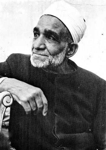 الشيخ محمود شلتوت